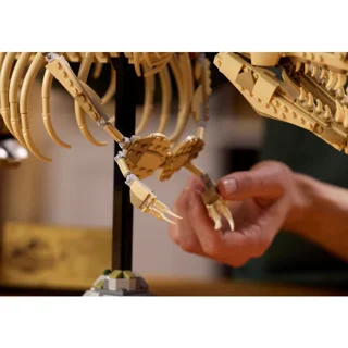 لگو ساختنی فسیل دانیاسور tyrannosaurus rex کد 66809 تعداد قطعات 3145